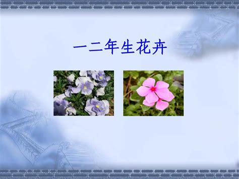 一二年生花卉word文档在线阅读与下载无忧文档