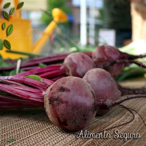 Benef Cios Da Beterraba Blog Alimento Seguro