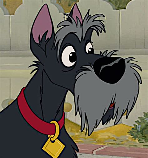 Jock Disney S Lady And The Tramp Photo 40992160 Fanpop