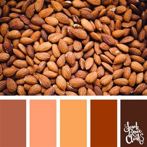 Color Palettes Inspired By Pantone Autumn Winter Color Trends