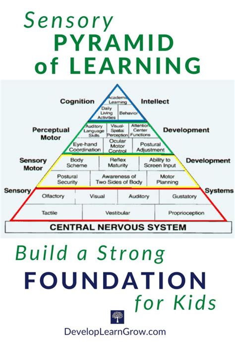 The Sensory Pyramid Of Learning DEVELOP LEARN GROW Whole Brain