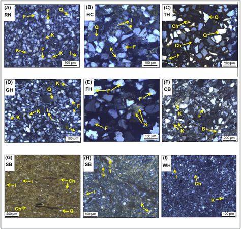 Thin Section Photomicrographs Of Selected Rocks From The Ashdown