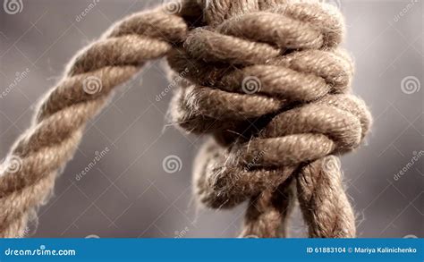 Rope Slipknot In Concept Suicide Macro Shot Stock Footage Video Of