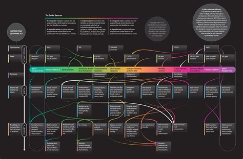 Gender Spectrum Chart