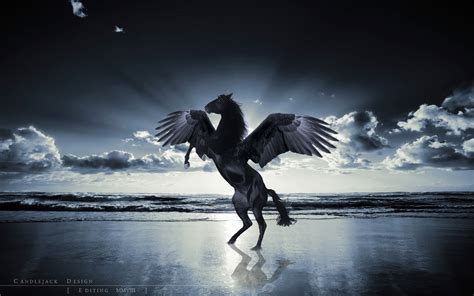 Unicorn Pegasus Wallpaper - WallpaperSafari