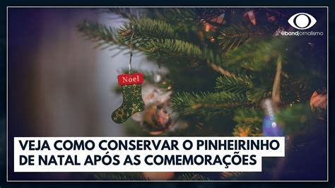 Veja Como Conservar O Pinheirinho De Natal Ap S As Comemora Es I