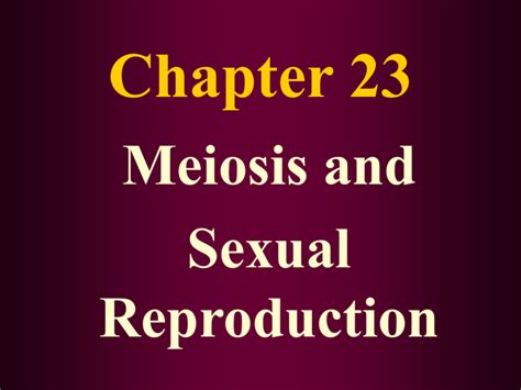 Chapter 11b Meiosis And Sexual Reproduction