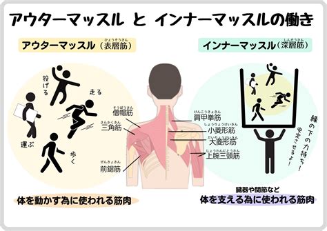 コラム「肩コリ」｜生命いのちの貯蓄体操普及会