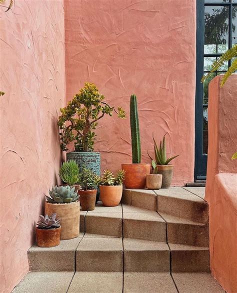 Pin By Ray Gibson On Things I Like Plant Decor Desert Backyard