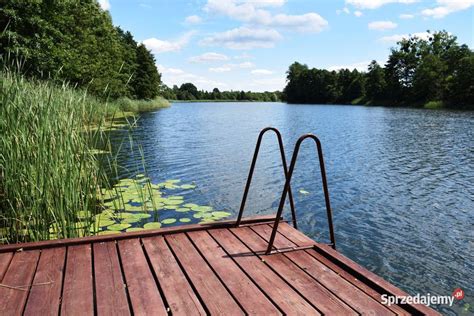 Dom całoroczny z prywatną linią brzegową jeziora Długie Sprzedajemy pl