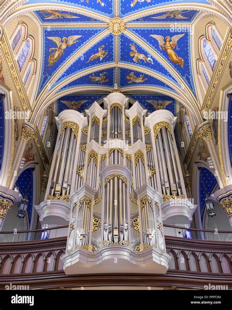 Notre Dame Cathedral Organ