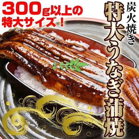 うなぎ 鰻 ウナギ 特大 蒲焼き 1尾 中国産 約300g業務用 お試し ギフト Unagikessann300京の魚河岸かねきゅう