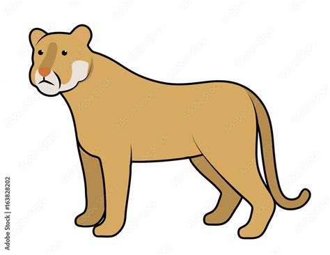 Cartoon Vector Illustration Of A Cougar Stock Vector Adobe Stock