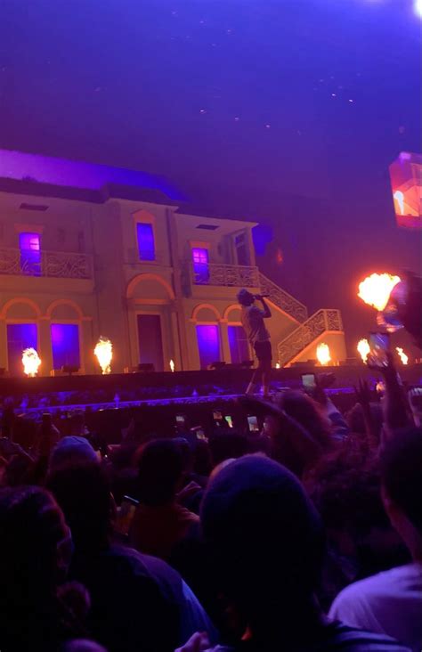 tyler the creator // LIVE | Music pictures, Tyler the creator, Album ...