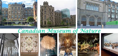 Ottawa Canadian Museum Of Nature Amazing Museum Simple Travel And