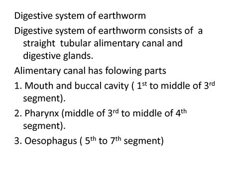 SOLUTION: DIGESTIVE SYSTEM (EARTHWORM) - Studypool