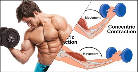 This Has Been Proven Many Times To Help Increase Muscle Mass Use This Training Technique To