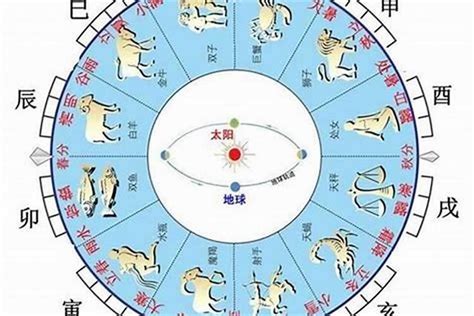 大运以天干为主还是地支大运怎么看天干地支 八字 若朴堂文化