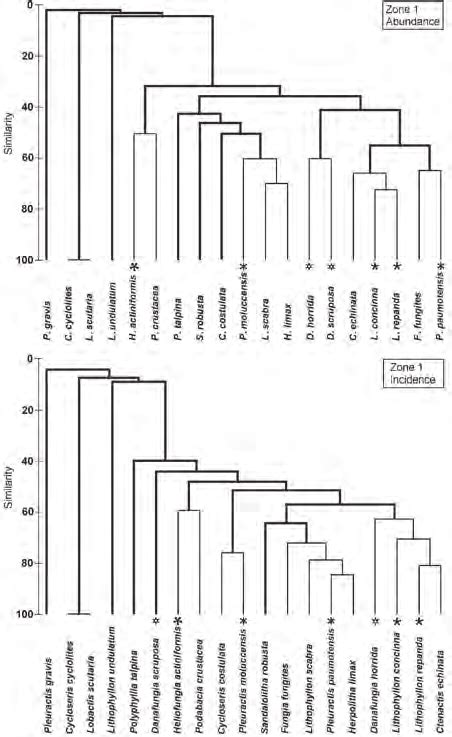 Dendrogram Group Average Bray Curtis Similarity Showing Clustering