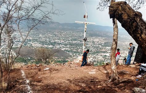 Descartan daños en reserva ecológica de Yucunitza en Oaxaca NVI Noticias