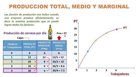 Producto Total Marginal Y Medio YouTube