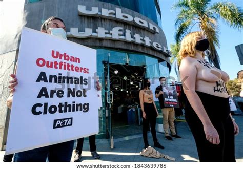 Peta Activists Revealing Naked Truth Wool Foto Stock Shutterstock