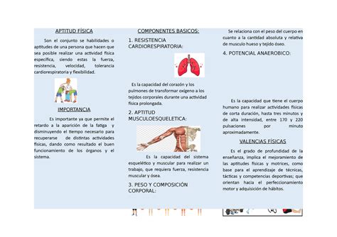 Aptitud Física DOCUMENTO APTITUD FÍSICA Son el conjunto se