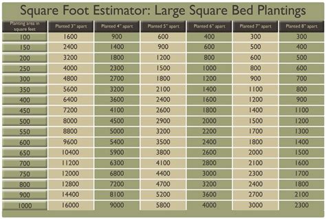 How Tall Is 48 Inches In Feet And Meters