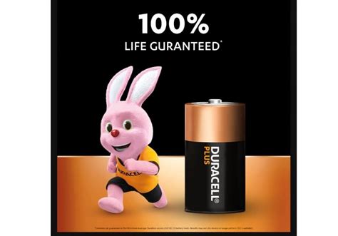 Duracell Plus D Batteries 2 Pack