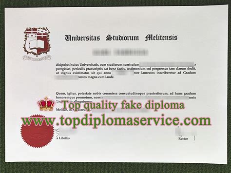 Best reasons to get fake University of Malta diploma for work