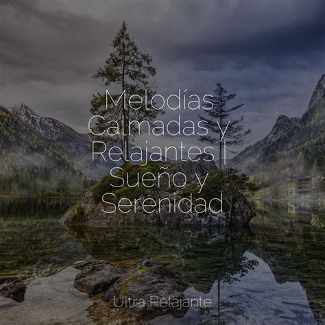 Melod As Calmadas Y Relajantes Sue O Y Serenidad Album By Musica