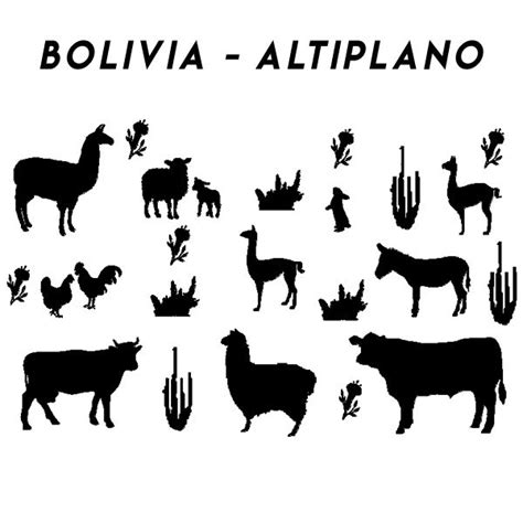 Fauna Y Flora Del Altiplano Boliviano M S La Kantuta Moose Art