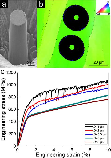 A A Representative Image Of The As Fabricated Micropillar Fabricated