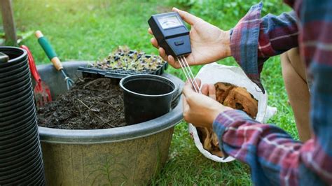 How To Test Your Soil Ph And Get The Most Accurate Measurement Angi