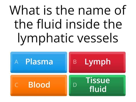 Lymphatic System Quiz