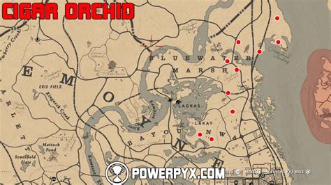 Red Dead Redemption 2 Plants Locations