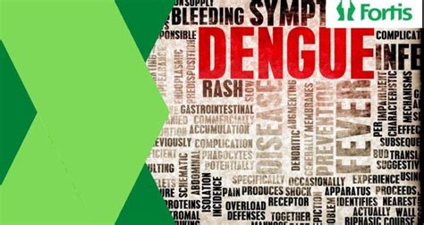 Dengue Shock Syndrome: Symptoms, Causes, and Treatment - Fortis Healthcare