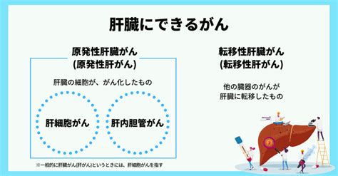 肝臓がんの原因と予防・早期発見に役立つ検査 ミッドタウンクリニック名駅｜jpタワー名古屋の人間ドック・健康診断