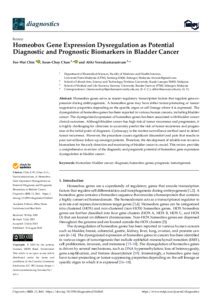 Homeobox Gene Expression Dysregulation As Potential Diagnostic And