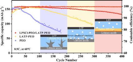 An Asymmetric Double Layer Poly Ethylene Oxide Inorganic Composite