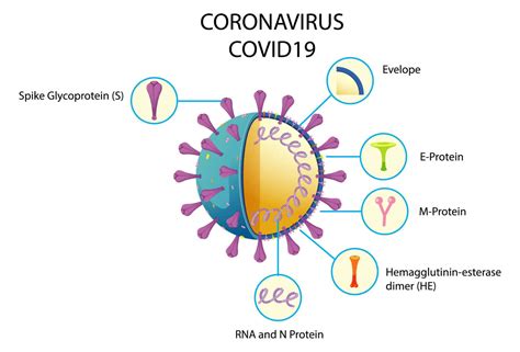 COVID 19 Vs The Flu Or Cold Symptoms To Watch For Nextcare