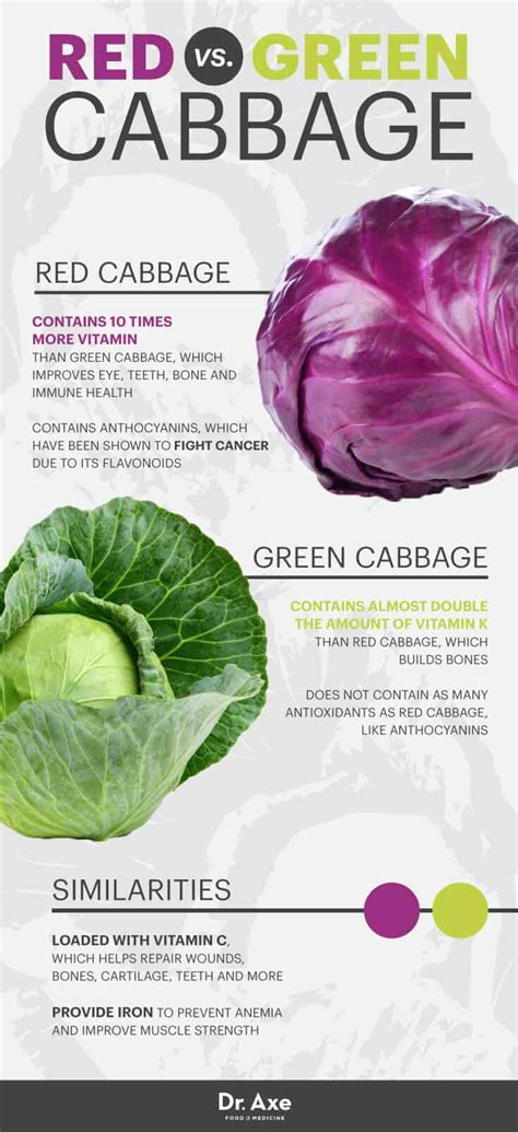 Red Cabbage Nutrition Facts And Health Benefits Infographic 60 Off