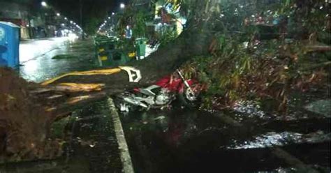 Chuva Forte Derruba Rvores Em Pelo Menos Dois Ve Culos Em Uberl Ndia