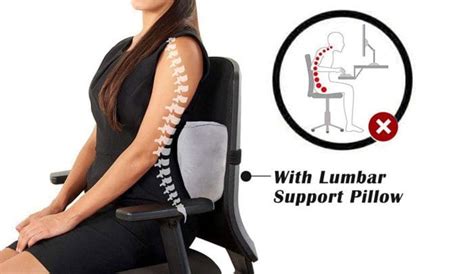 Low Back Support Pillow Ep Wellness And Functional Medicine Clinic