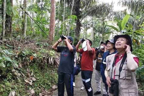 Wisata Alternatif Menikmati Kicauan Burung Langka Di Jatimulyo