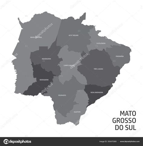 Mapa Las Regiones Del Estado Mato Grosso Sul Con Etiquetas Vector De