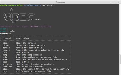 Основы работы с фреймворком Viper — Хакер