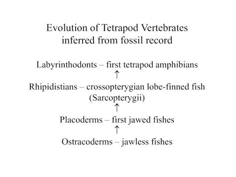 Pdf Evolution Of Tetrapod Vertebrates Inferred From Fossil Recordbiology ~houde