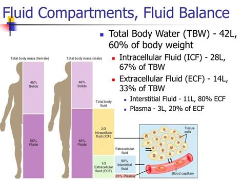 Ppt Chapter Powerpoint Presentation Id