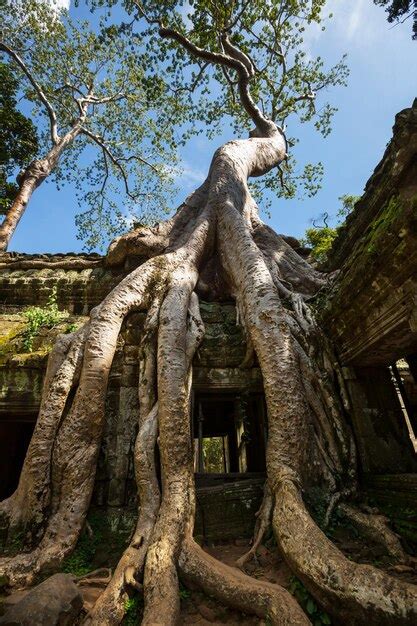 Premium Photo | Angkor